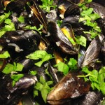 Moules marinières - Recept från Hssons Skafferi